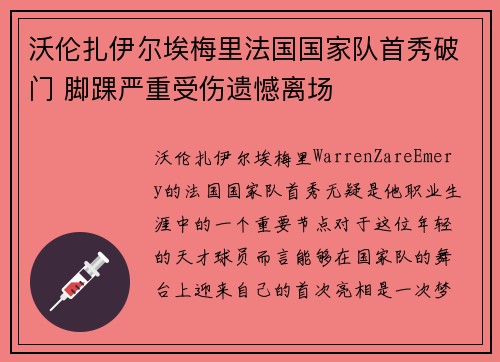 沃伦扎伊尔埃梅里法国国家队首秀破门 脚踝严重受伤遗憾离场