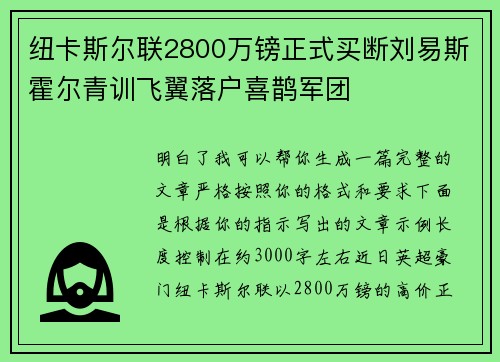 纽卡斯尔联2800万镑正式买断刘易斯霍尔青训飞翼落户喜鹊军团 纽卡斯尔联2800万镑正式买断刘易斯霍尔青训飞翼落户喜鹊军团