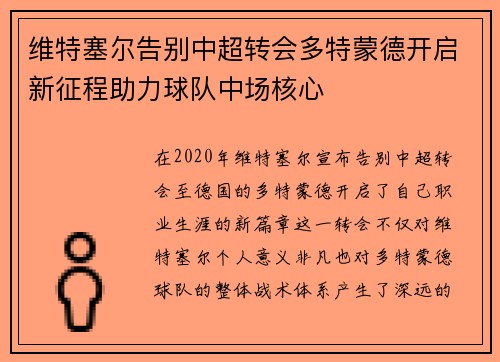 维特塞尔告别中超转会多特蒙德开启新征程助力球队中场核心
